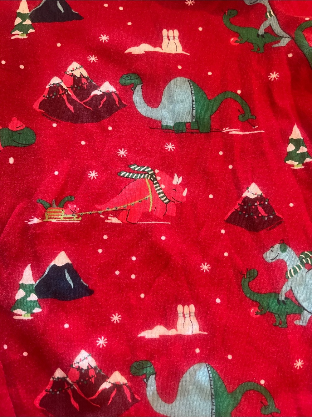 2pc Men’s Holiday PJ Set - Picture 10 of 11